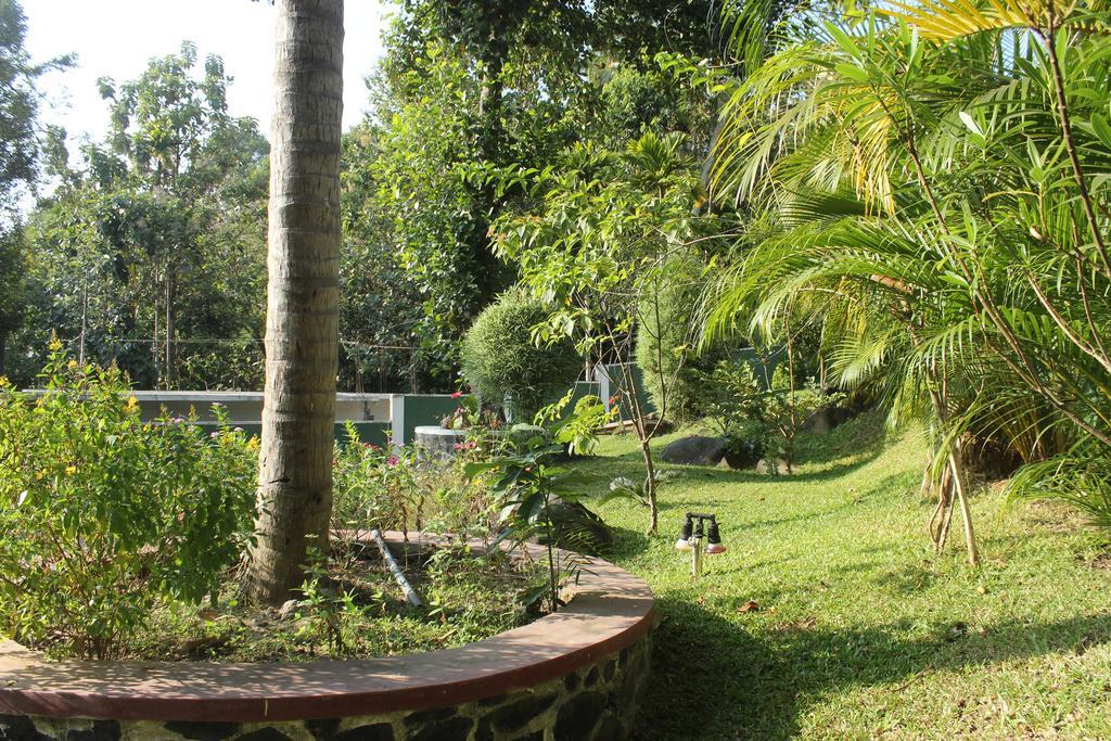 Green View Holiday Resort Kandy Esterno foto